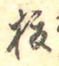 已定位榎
