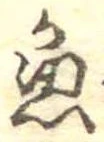 已定位魚