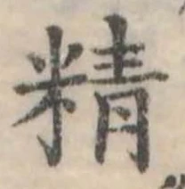 精 위치 확인됨