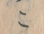 位置定マレルこ