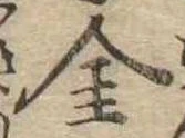 Located 金