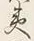 文字夷