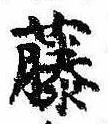 已定位藤
