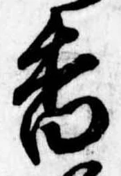 已定位香