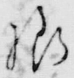 文字様
