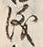 文字難