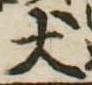 Located 犬