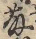 已定位藤