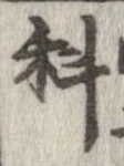 位置定マレル科