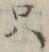 𡨸只