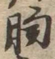 位置定マレル胸
