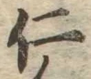 已定位仁