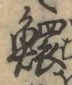 鰥 위치 확인됨