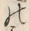 文字 鶴