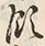 字飢