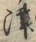 位置定マレル津
