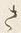 “ら”字
