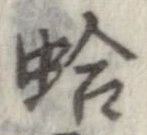 位置 確認된 蛤
