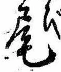 Located 尾