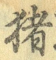 已定位猪