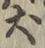 「犬」字