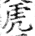 Character 虎