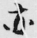 字固