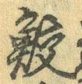 位置 確認된 鮫
