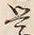 Chữ 学