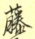 “藤”字