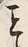 字こ