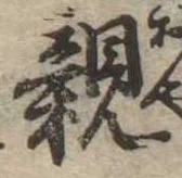 已定位親