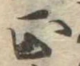 位置 確認된 正