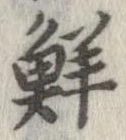 Đã định vị 鮮