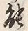 字能