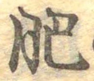 㐌定位肥