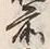 文字前
