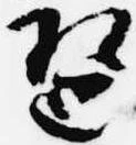 Đã định vị 琶