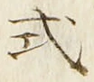 「式」字