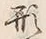 字二