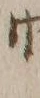文字帆