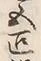 文字繋