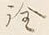 “詮”字