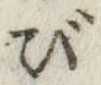 Character び