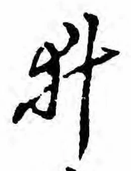已定位井