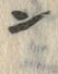 Character 旬
