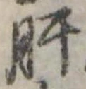 已定位肝