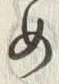 文字め