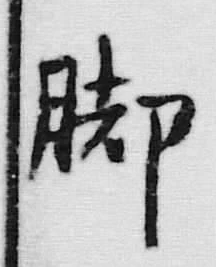 文字 脚