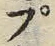 𡨸プ
